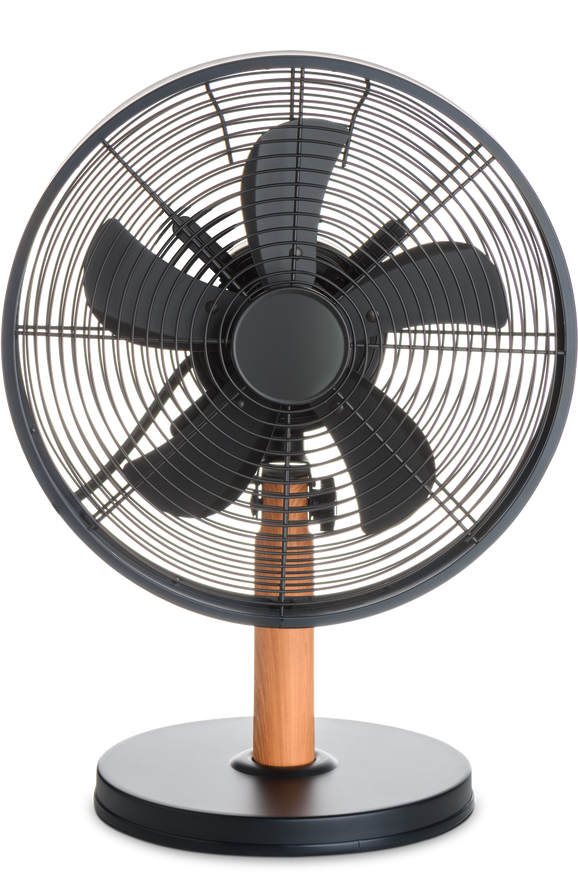 Electric fan